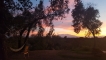 Coucher de soleil sur le Canigou depuis la piscine